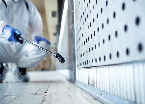 Difesa Facility Management - Pest Control Services