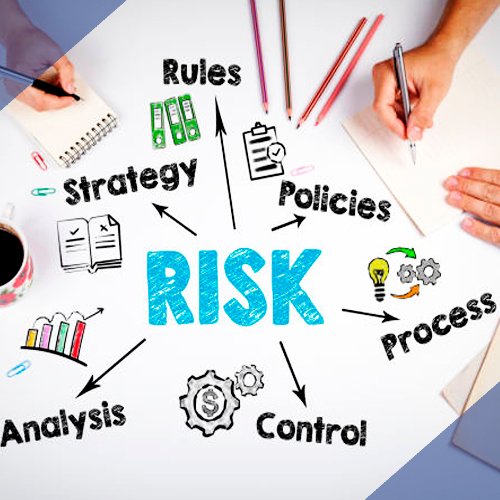 Risk management system
